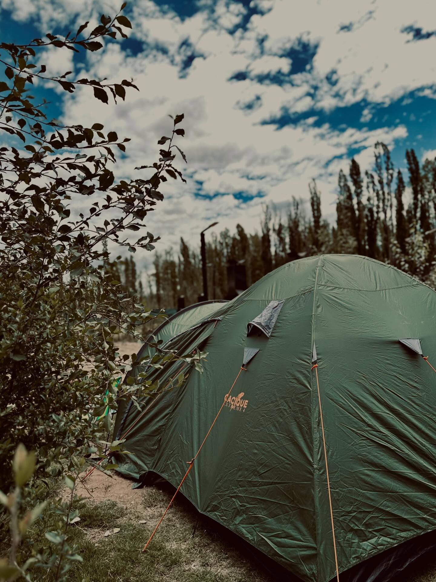 Arboleda del Camping